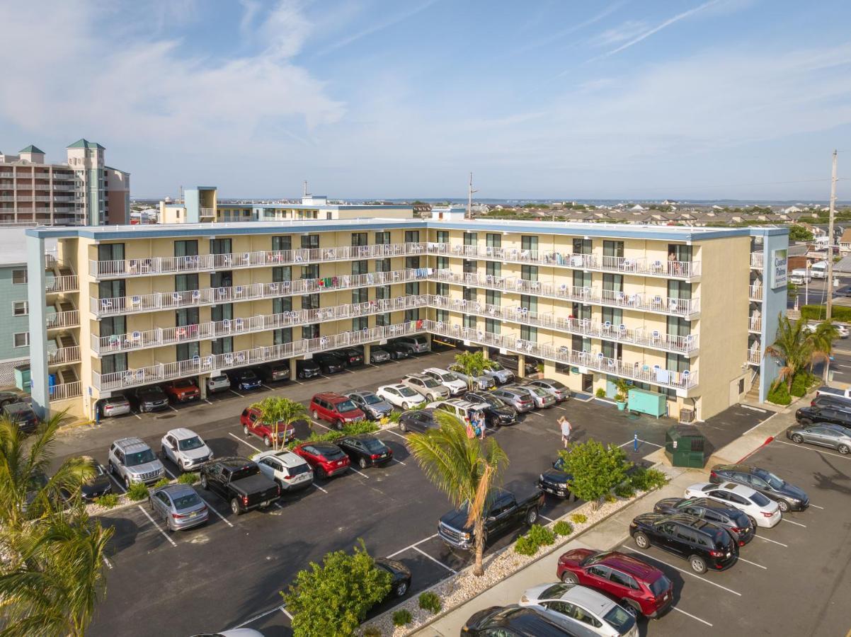 Coastal Palms And 2*
