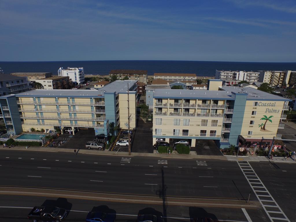 Coastal Palms And 2*
