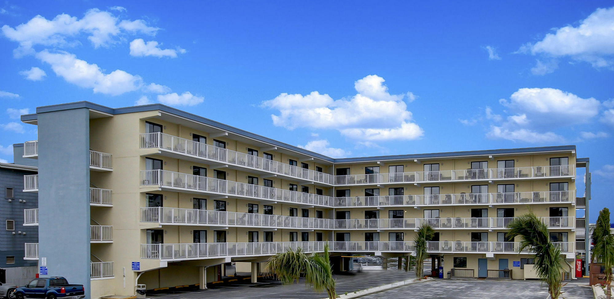 Coastal Palms And 2*